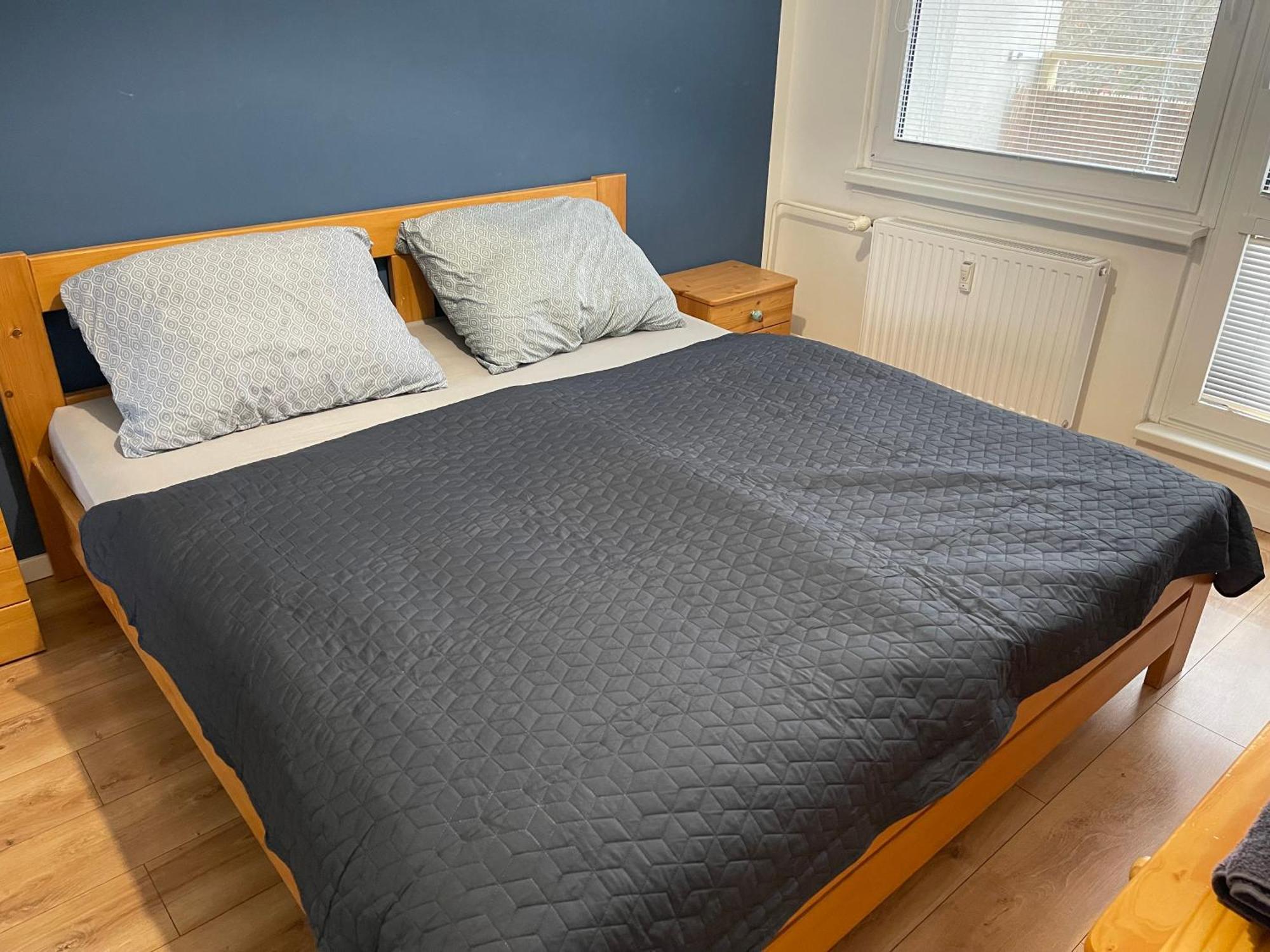 Apartment Letna
